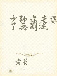 少帅你老婆又跑了无删减