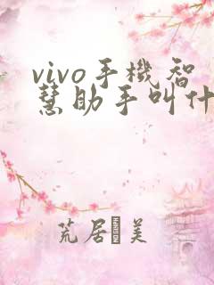 vivo手机智慧助手叫什么