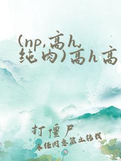 (np,高h,纯肉)高h高辣
