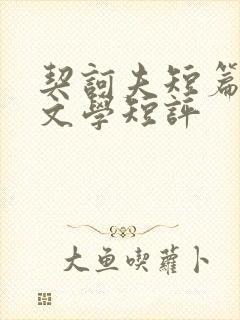 契诃夫短篇小说文学短评