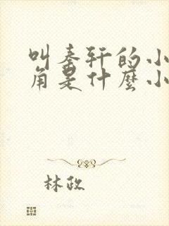 叫秦轩的小说主角是什么小说