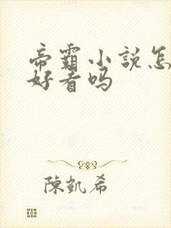 帝霸小说怎么样好看吗