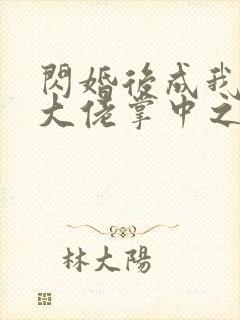 闪婚后成我成了大佬掌中之物