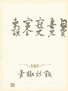 东宫宠妻日常小说全文免费阅读