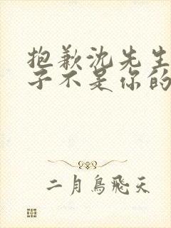 抱歉沈先生,孩子不是你的短剧在线