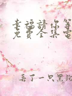 幸福请你等等我免费全集电视剧