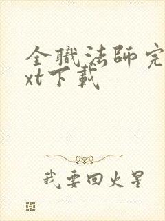 全职法师完本txt下载