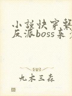 小说快穿系统之反派boss来袭txt