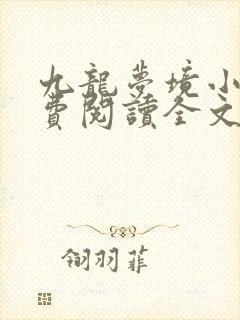 九龙梦境小说免费阅读全文无弹窗