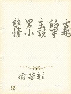 双男主的古代言情小说穿越