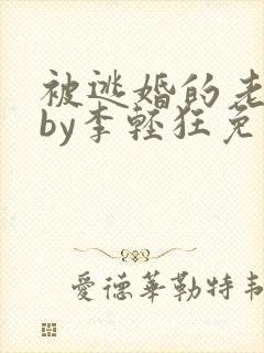 被逃婚的老实人by李轻狂免费阅读小说