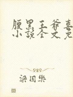 腹黑王爷喜当爹小说全文免费阅读