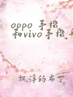 oppo 手机和vivo手机哪个好