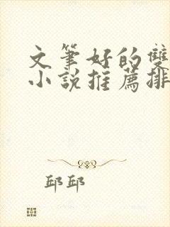 文笔好的双男主小说推荐排行榜