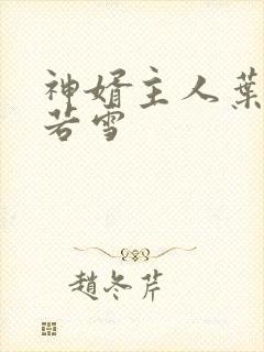 神婿主人叶凡唐若雪