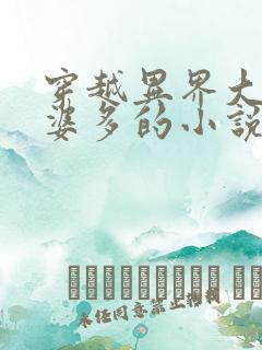 穿越异界大陆老婆多的小说