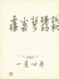 看小说赚钱哪个赚最多的软件