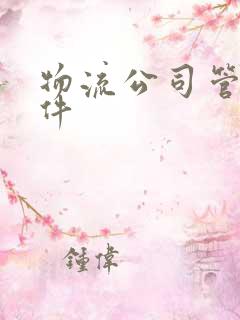 物流公司管理软件