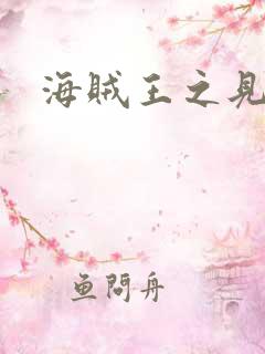 海贼王之见证者