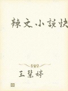 辣文小说快穿h