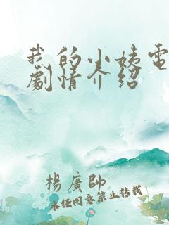 我的小姨电视剧剧情介绍