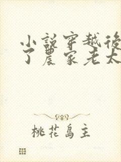 小说穿越后变成了农家老太太