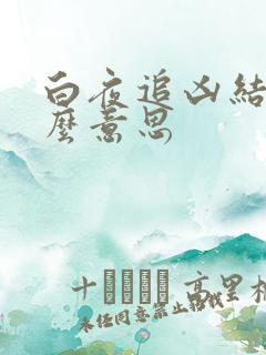 白夜追凶结局什么意思