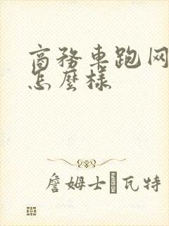 商务车跑网约车怎么样