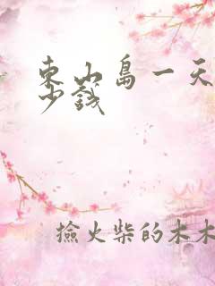 东山岛一天游多少钱