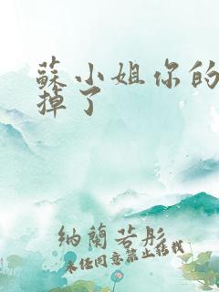 苏小姐你的老公掉了