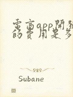 电商app开发的费用是多少