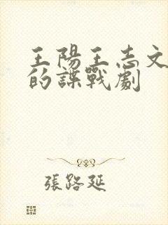 王阳王志文主演的谍战剧