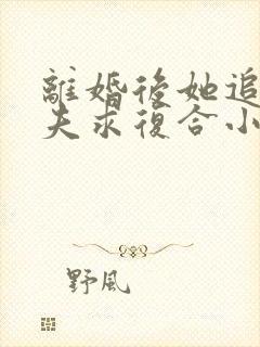 离婚后她追着前夫求复合小说