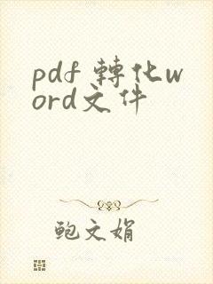 pdf 转化word文件