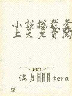 小说总裁爹地宠上天免费阅读全文