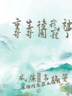 重生后我被四个哥哥团宠了