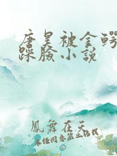 唐昊被金鳄斗罗踩脸小说