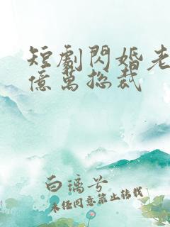 短剧闪婚老公是亿万总裁