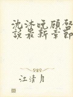 沈沐晚顾启珩小说最新章节免费阅读