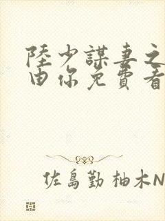 陆少谋妻之婚不由你免费看全文