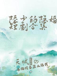 陆少的隐婚罪妻短剧合集