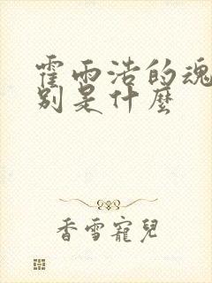 霍雨浩的魂技分别是什么