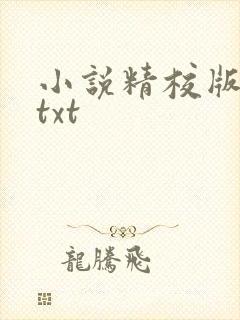 小说精校版全本txt