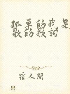 孤单的我是哪首歌的歌词