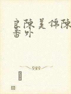 良陈美锦陈玄青番外