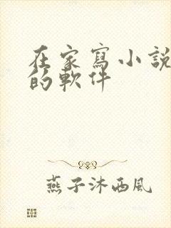 在家写小说赚钱的软件