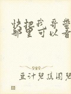 快把我哥带走在那里可以看