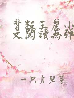 背叛王丽小说全文阅读无弹窗