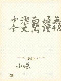 少洁白妇无删减全文阅读48