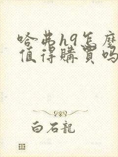 哈弗h9怎么样值得购买吗